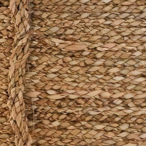 Pastos marinos de cerca